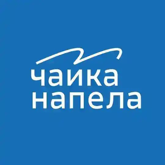 Чайка напела | медиа о Владивостоке