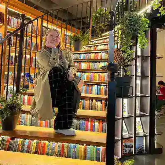 Константинопольская Чайка