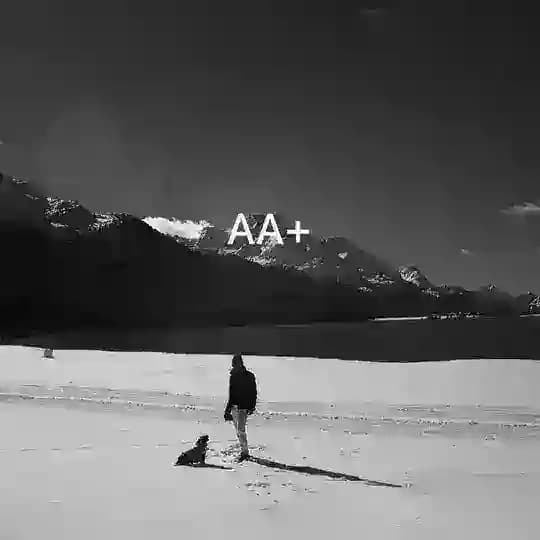 AA+