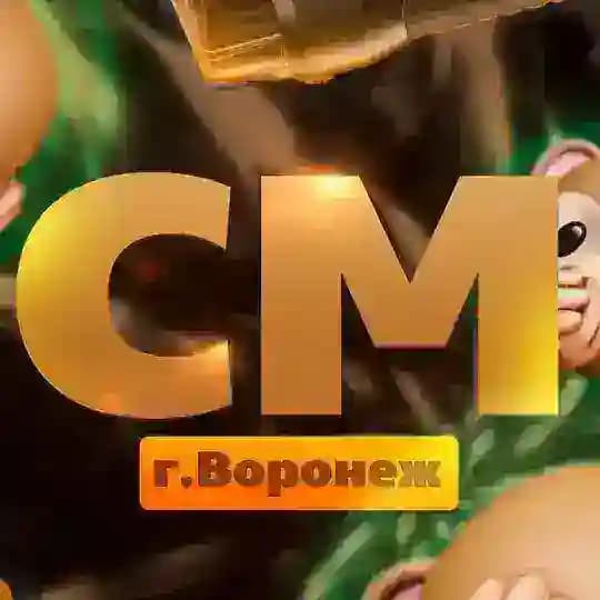 CHILL MONKEY🙈🙉🙊