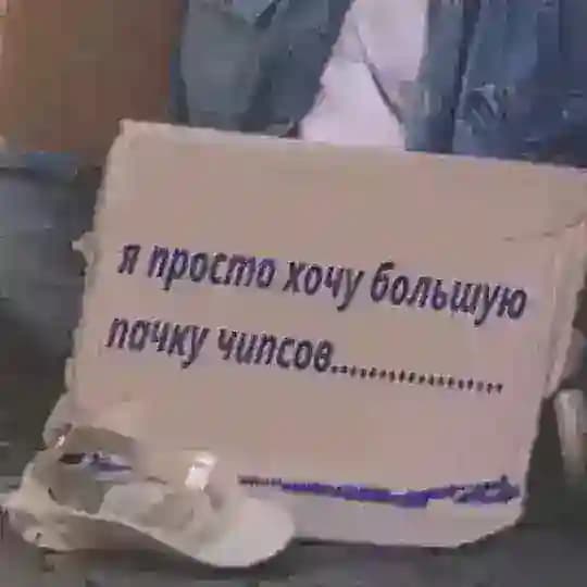 чипсоиды