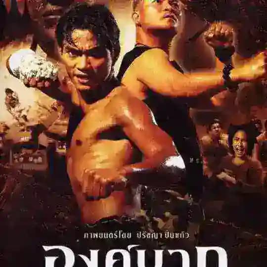အက်ရှင်ကားများ အက်ရှင်ဇာတ်ကားများ စစ်ကားများ လူသတ်ကားများ