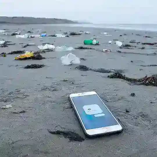 Отчеты мониторинга