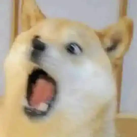 我们爱吃瓜啊