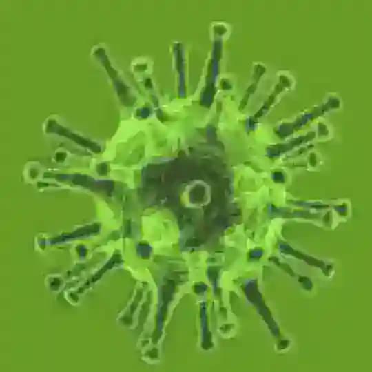 Corona Virus Informationen 2
