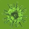 Corona Virus Informationen 2