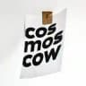 Cosmoscow