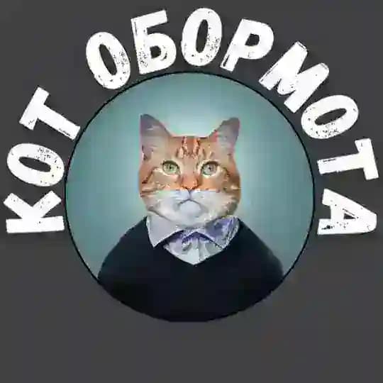 Кот обормота 🇷🇺
