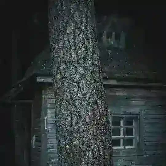 свете́ц