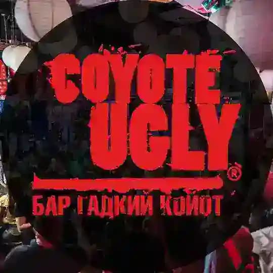 Гадкий Койот | Бар