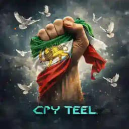 ᴄᴘʏ ᴛᴇᴇʟ Profile