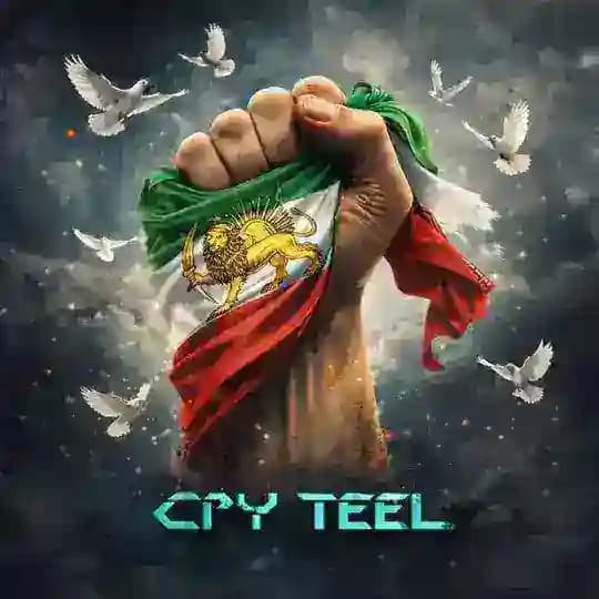 ᴄᴘʏ ᴛᴇᴇʟ Profile