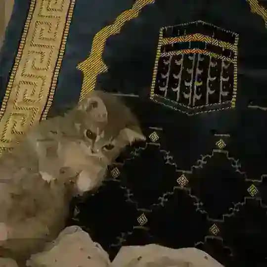 القرآن الكريم،ادعية،أذكار