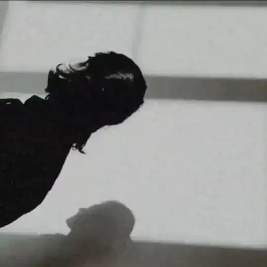 critique of plastic reason