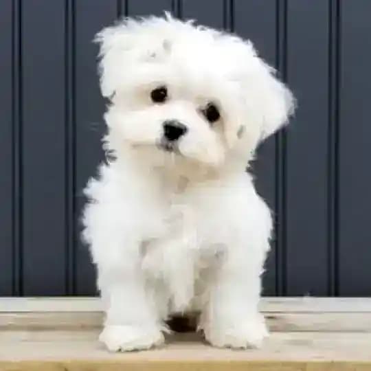 Cute and Fun Videos 🥰 Profile