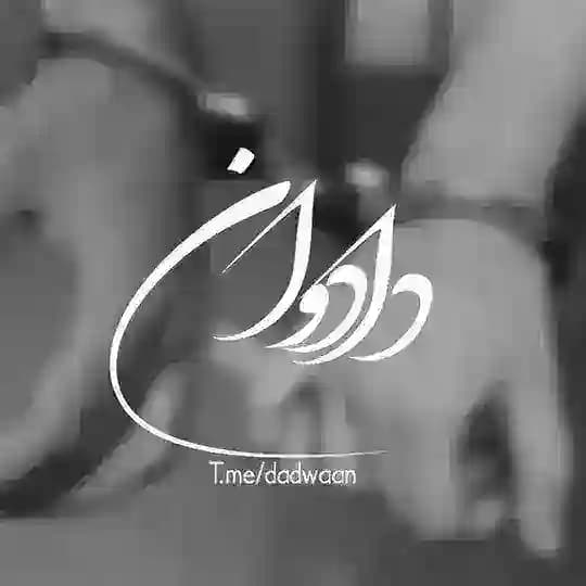『دادوان』 پروفایل • عکسنوشته • موزیک