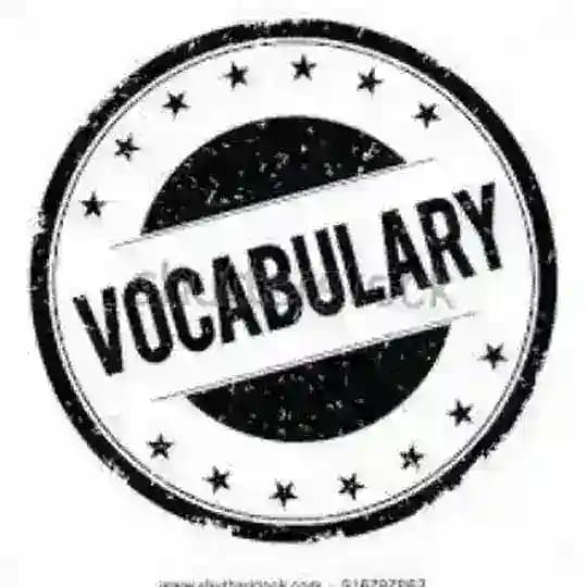 DAILY VOCABULARY Profile