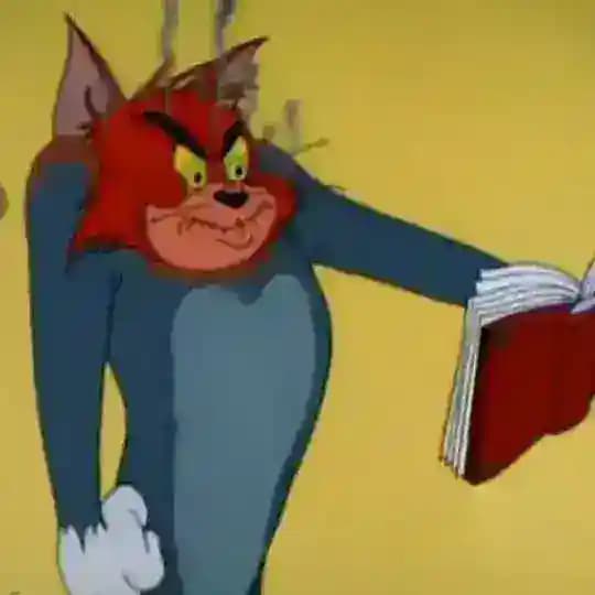 Daily Memes