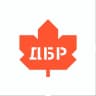 Добровольцы Быстрого Реагирования