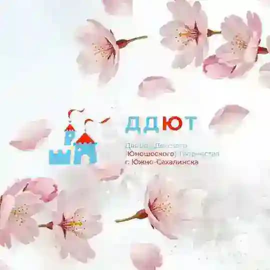 Новости Дворца 🌸