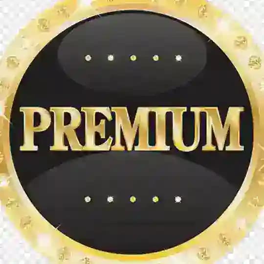 Premium Agent Developer Profile