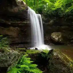 💦 Waldquelle💦 Elfenwerk Seelenschmuck Profile