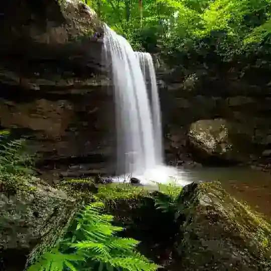 💦 Waldquelle💦 Elfenwerk Seelenschmuck Profile
