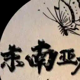 东南亚新闻吃瓜华人 Profile