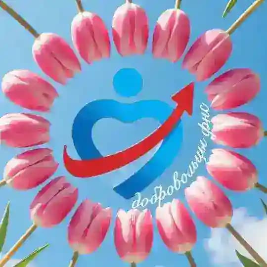 ДОБРОВОЛЬЦЫ ФНС