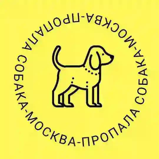 Пропала собака Москва