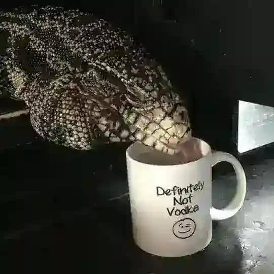 🪴Долька Пенька Соли🪴