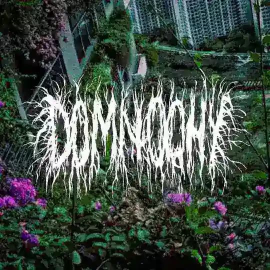 D O M N O C H Y