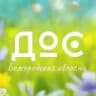 Детский совет 31 регион|ДОС31