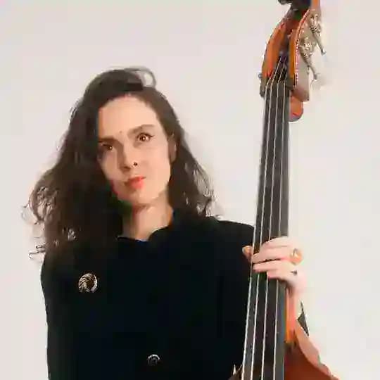 Контрабас в кустах