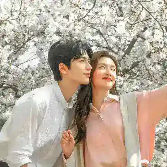 💐🪻 Мир Дорам 🪻💐