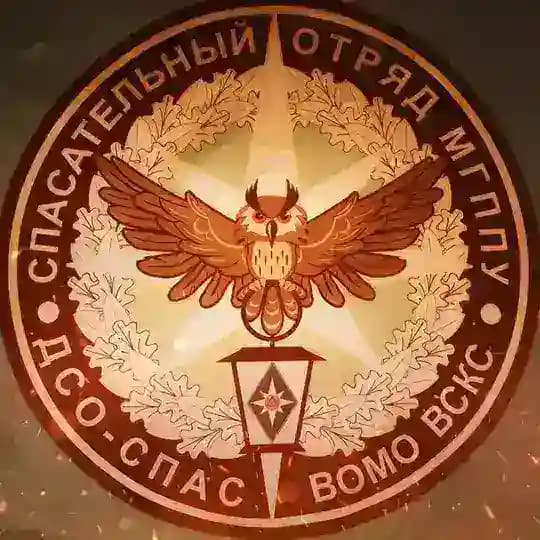 ДСО-СПАС