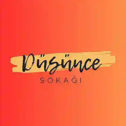 ᴅᴜ̈şᴜ̈ɴᴄᴇ sᴏᴋᴀɢ̆ı Profile