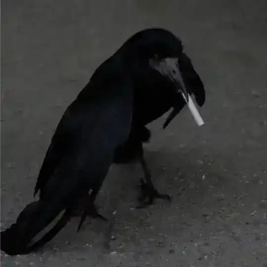 𝔈𝔣𝔦𝔪