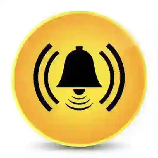 Stephanus Pulvinus Profile