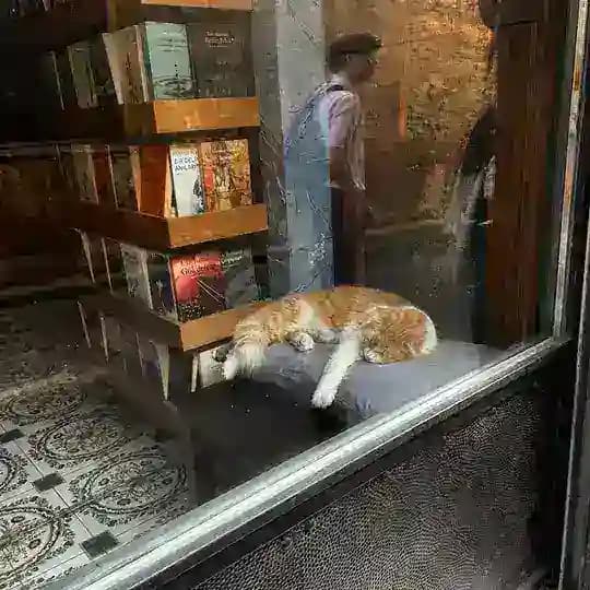 ei.dlitz🦇 Profile