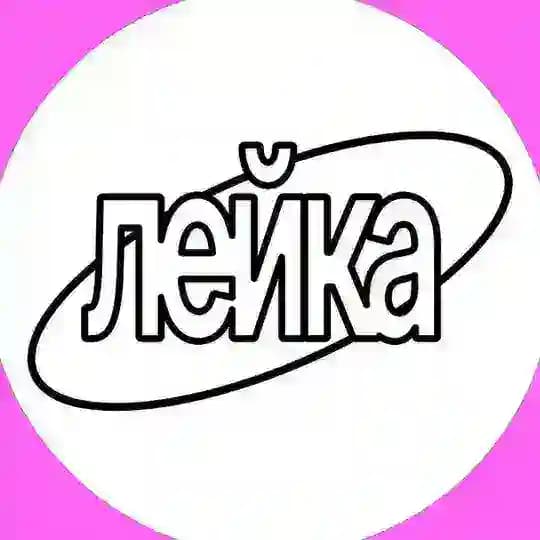 группа лейка