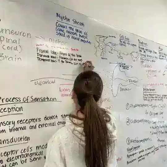 Как Настя английский учила..