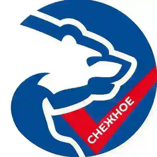 ЕДИНАЯ РОССИЯ - СНЕЖНОЕ, ДНР