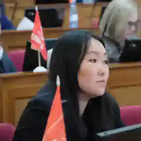 Приемная Эржены Чимитцыреновой