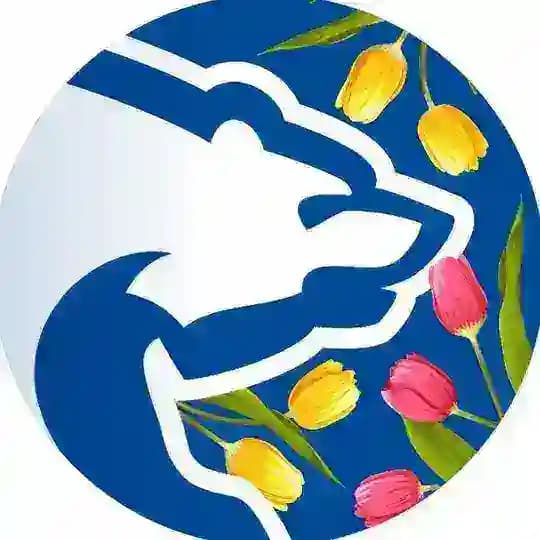 Единая Россия Жуковский