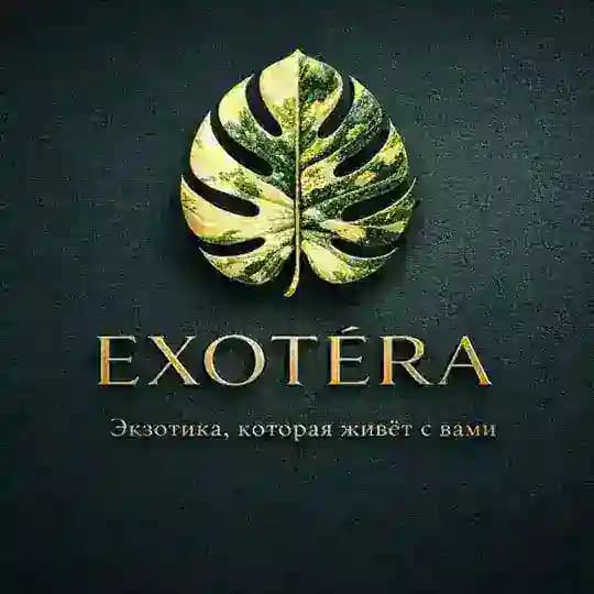 EXOTÉRA 🌿