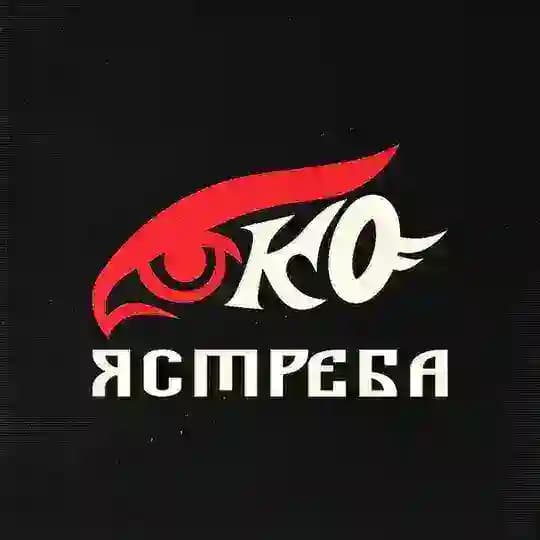 Око Ястреба | Роман Сорокин