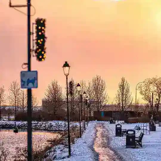 91探花学生空姐美女视频 Profile