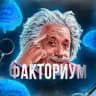 Факториум 🧠