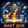 Факт дня